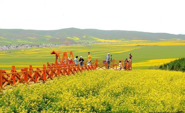 青島推動文旅項目多領(lǐng)域、多業(yè)態(tài)、多層次發(fā)展