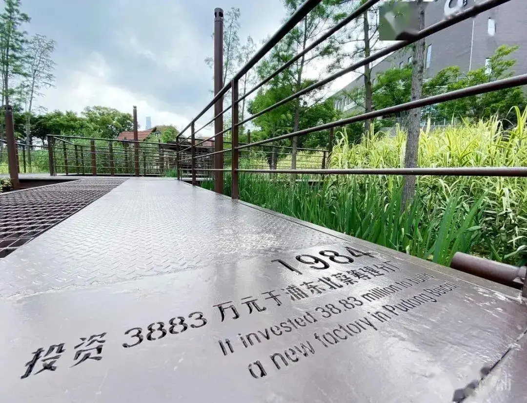 5.5公里楊浦濱江岸線，楊樹浦路變身“露天博物館”