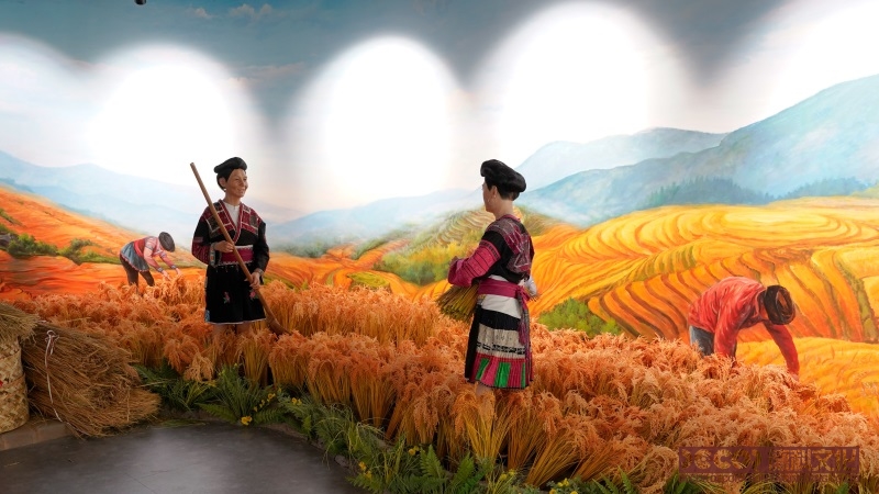 農(nóng)業(yè)科普館設(shè)計(jì)如何解釋農(nóng)藥使用和環(huán)境保護(hù)之間的關(guān)系？