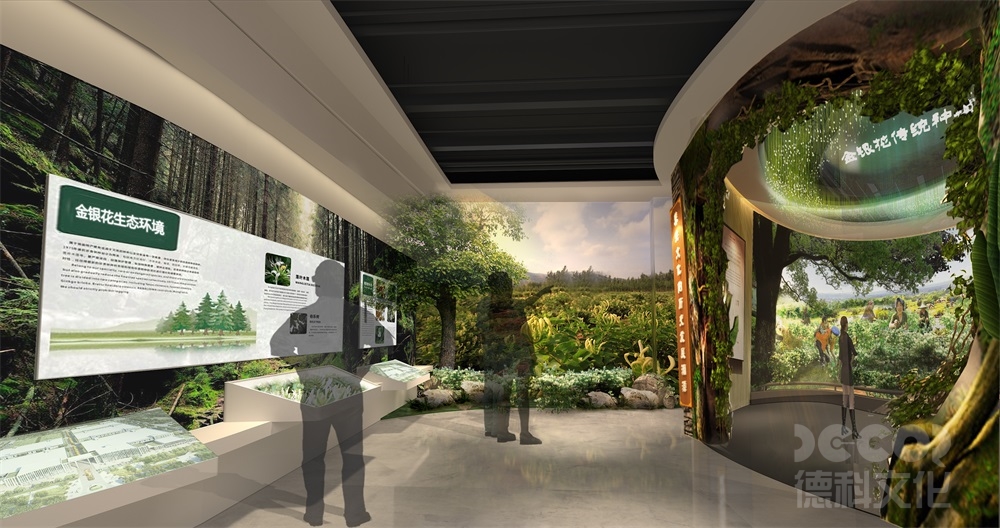 數(shù)字博物館設(shè)計(jì)中如何保護(hù)和展示數(shù)字化文物？