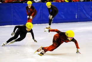 王濛在2006年2月参加第二十届都灵冬奥会